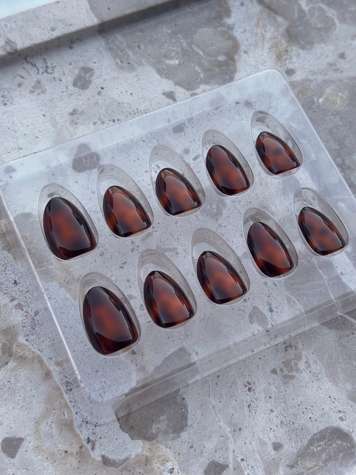 Classic Tortoiseshell- Extra short Almond