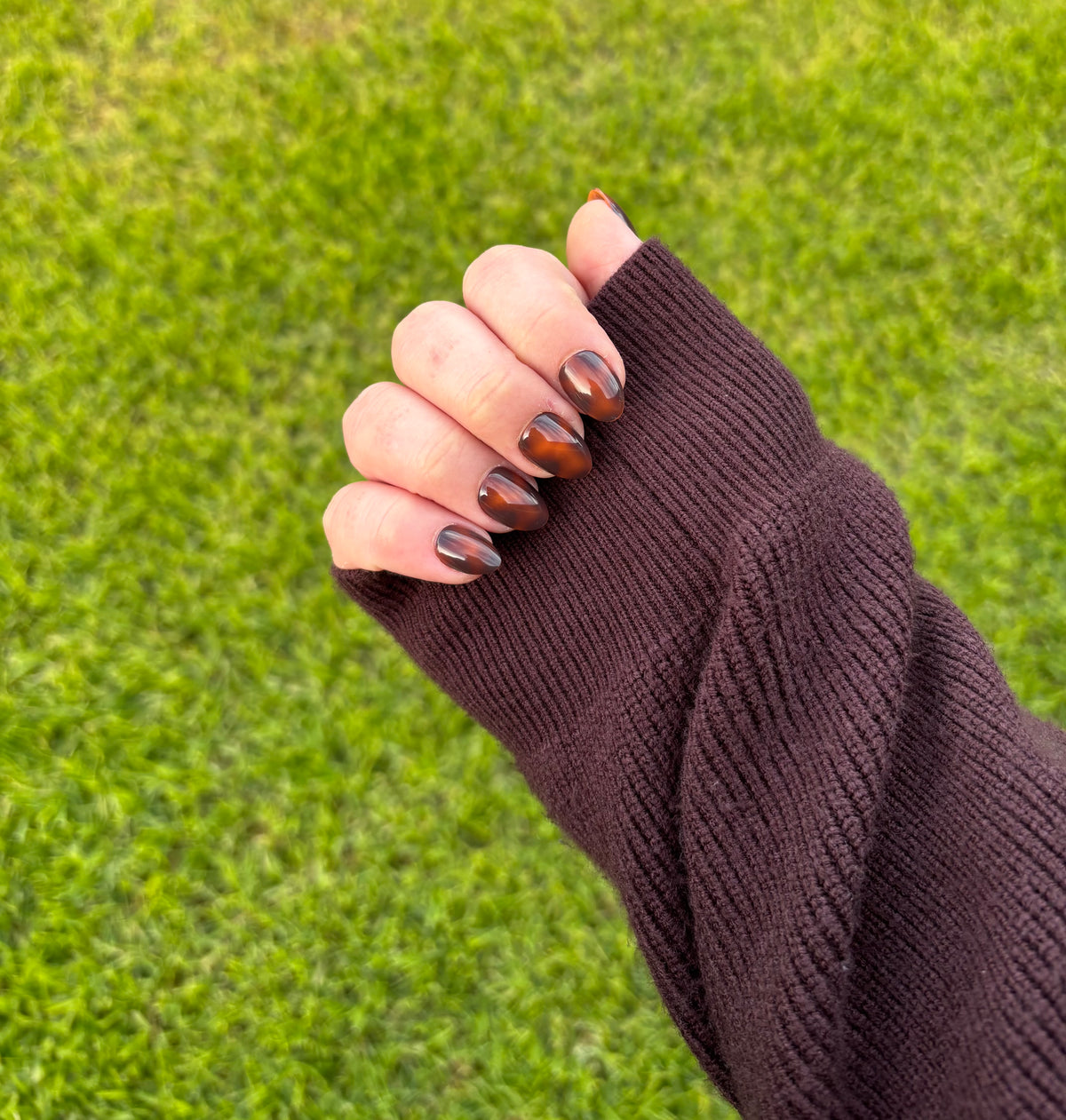 Classic Tortoiseshell- Extra short Almond